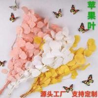 ราคา ใบแอปเปิ้ลและยูคาลิปตัส พร้อมดอกไม้แห้ง เพื่อการตกแต่งบ้านอย่างสวยงาม (29993513050)