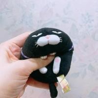 ราคา พวงกุญแจ ตุ๊กตา แมว แมวดำ อมูส amuse black cat (18086693648)