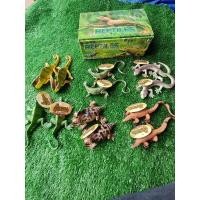 ราคา รวมกิ้งก่า(ขายยกกล่อง12ตัวมีตัวซ้ำ6ตัว) (4891395880)