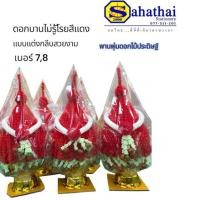 ราคา พานพุ่ม ดอกบานไม่รู้โรยสีแดง เบอร์7 และ เบอร์ 8 ราคาต่อ 1 พาน (42818382626)