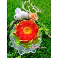 ราคา เหรียญโปรทาน ทิพย์ดอกบัว (42751679600)