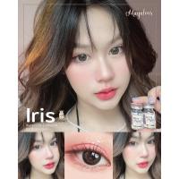 ราคา Iris brown mayalens น้ำตาลขอบ ตาหวานแบ๊ว mayalens น้ำ55% (23266874019)