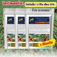 ราคา โปรที่นีที่เดียว เอาไปเลย 3 กก.จ่ายเพียง 576 บาท เชื้อราไตรโคเดอร์มา ราคาส่งราคาถูกที่สุดใช้ฆ่าเชื้อราที่ก่อโรคพืช (25612425219)
