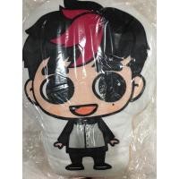 ราคา หมอน gotoon cushion got7 แบมแบม bambam (21748517064)
