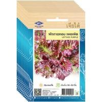 ราคา เมล็ดผักกาดหอม เพอเพิล เจียไต๋ ขายส่ง ยกห่อ (1 ห่อ บรรจุ 10 ซอง) (44158244429)