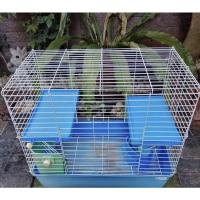 ราคา กรงกระต่ายและกรงแกสบี้ (11514106536)