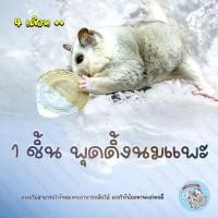 ราคา ( พุดดิ้งนมแพะ ) แบ่งขาย 1 ชิ้น GOAT MILK PUDDING พุดดิ้ง นมแพะ นมแพะอัดเม็ด ขนม อาหาร ชูการ์ สัตว์เล็ก แมว แฮมสเตอร์ (9636843403)