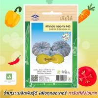 ราคา ฟักทอง ทองคำ 443 เจียไต๋ 10เมล็ด (759305145)