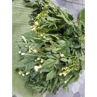 ราคา ใบต้นดอกปีบ จำนวน 250g (42773951611)