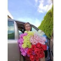 ราคา กุหลาบดอยตุง ดอกเต็มๆมาแล้วจ้า (10433988209)