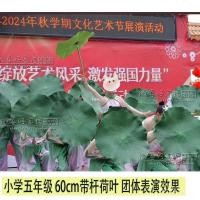 ราคา อุปกรณ์ประกอบฉากตกแต่งวันหยุดโลตัสหยิบประสิทธิภาพเต้นรําโลตัสเต้นรําใบบัวโลตัสโลตัสปอมปอมในเด็ก ซคิว1ที (50700140014)