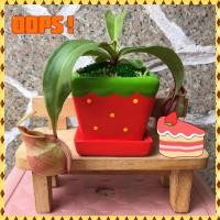 ราคา ต้นหม้อข้าวหม้อแกงลิง ต้นไม้กินแมลง สวนถาดจิ่ว (23868530166)