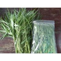 ราคา หญ้าขนสด ปลอดสารเคมี 1kg สำหรับกระต่าย เต่า หนูแกสบี้ (25232223679)