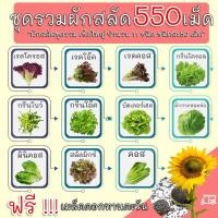 ราคา (รวม 550 เมล็ด) เมล็ดผักสลัด 11 ชนิด อัตราการงอก 95% (แถมฟรี!!! เมล็ดดอกทานตะวัน) เมล็ดพันธุ์ผัก เมล็ดพันธุ์ เมล็ดผัก เม (11116357858)