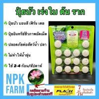 ราคา ปุ๋ยบัว 15-12-8 ปุ๋ยดอกบัว ปุ๋ยไม้น้ำ ปุ๋ยบอนสี เฟิร์น 14 เม็ด สูตรเร่งใบ เร่งต้น เร่งราก แตกกอดี (26264244299)
