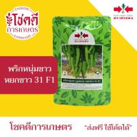ราคา พริกหนุ่มขาว หยกขาว 31 F1 เมล็ดพันธุ์ พริกหนุ่มขาว ลูกผสม ตราศรแดง บรรจุ 50 กรัม (53300736497)