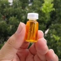 ราคา สาริกาคู่ ตะกรุดแฝด ตำรับหลวงปู่ทอง วัดราชโยธา แช่น้ำมัน​จันทร์​อย่างดี (3772003437)