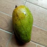 ราคา มะม่วงโชคอนันต์แก่พร้อมสุก ลูกละ 5 บาท (4538677047)