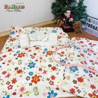 ราคา ที่นอนปิคนิค ที่นอนเด็กแรกเกิด หมอนหลุม+หมอนกันสะดุ้ง+ผ้าห่ม มือสอง สภาพดี (24801059857)