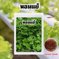 ราคา เมล็ดพันธุ์หอมแย้ บรรจุ 500 เมล็ด และวิธีเพาะปลูก (44402660024)