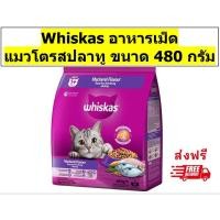 ราคา Whiskas วิสกัสเม็ดสำหรับแมวโต รสปลาทู 480 กรัม 1 ถุง (27020777049)