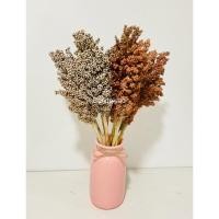 ราคา ข้าวฟ่าง ดอกข้าวฟ่าง สีขาว ข้าวฟ่างเม็ด ดอกเลา ดอกไม้แห้งพร๊อพถ่ายภาพ ตกเเต่งบ้าน ตกเเต่งร้านดอกไทยดอกไม้แห้ง 1ดอก (16113366921)