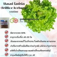 ราคา ฟิลเลย์ ไอซ์เบิร์ก fillice iceberg 1000 pills (ไม่เคลือบ) (42273274187)