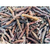 ราคา ดีปลีสุกตากแห้ง 500 กรัม ราคา 129 บาทเท่านั้น (21949497883)