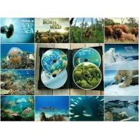 ราคา IMAX DVD Boxset (1365078760)