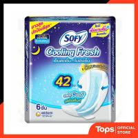 ราคา SOFY โซฟีคูลลิ่งเฟรชกลางคืนสลิมมีปีก42ซม. 6ชิ้น [8851111135035] (42024316523)