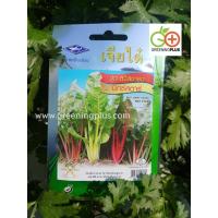 ราคา บีท สวิสชาร์ด มิกซ์สตาร์ (BEET SWISS CHARD MIX STAR) เจียไต๋ (42523276322)