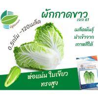 ราคา ผักกาดขาว เจเจ-61 (Chinese​ Cabbage​)​ (3539101489)