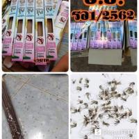 ราคา ธูปสมุนไพร ไล่ยุง ฆ่ายุงปลอดภัย100% (1456283812)