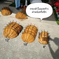 ราคา (พร้อมส่ง)กระเช้าใยมะพร้าว,กระเช้าครึ่งซีก,กระเช้าปลูกต้นไม้ติดผนัง,กระถางใยมะพร้าวครึ่งวงกลม (11687084292)