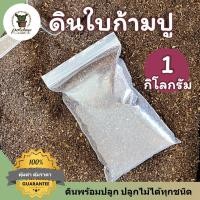 ราคา ดินหมักใบก้ามปู ร่อนละเอียด ดินพร้อมปลูก ดินใบก้ามปูหมัก ดินปลูกต้นไม้ ดินแคคตัส ดินปลูกบอนสี ดินปลูกไม้ด่างดินปลูกกัญชา (14446175813)