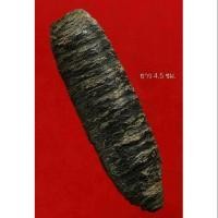 ราคา ตะกรุดหน้าผากเสือ ของหลวงปู่บุญ วัดกลางบางแก้ว ขนาด4.5ซม. (1765106293)