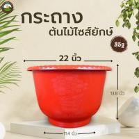 ราคา กระถางต้นไม้ไซส์ยักษ์ สีอิฐ อ่างบัวพลาสติก แบบหนา อ่างเลี้ยงปลา อ่างเลี้ยงบอล อ่างเลี้ยงกล้วย (17070297796)