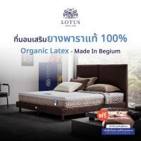 ราคา [ฟรี!ชุดผ้าปู] LOTUS ที่นอนยางพารา (สเปคแน่นสบาย-นุ่มแน่น) รุ่น i-Latex ส่งฟรี (21436594110)