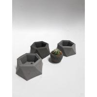 ราคา กระถางปูน กระถางกระบองเพชร สีเทาดำ 6แถม1 (6153472562)