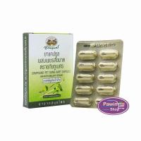 ราคา อภัยภูเบศร เพชรสังฆาต 400mg 10 แคปซูล [1 กล่อง] ขนาดพกพา ยาสามัญประจำบ้าน (28357532872)