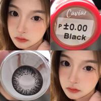 ราคา คอนแทคเลนส์ บิ๊กอาย Caviar / Clavier Pitchy brown gray black Soft Contact lens บิ๊กอายส์ เลนส์สัมผัส (26090360209)