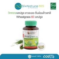 ราคา วีทกราสแคปซูล ขาวละออ ต้นอ่อนข้าวสาลี Wheatgrass 60 แคปซูล - (1 ขวด) (24188377486)