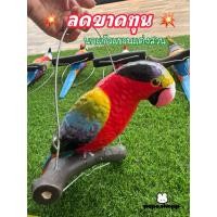 ราคา นกแก้วแขวนตกแต่งสวน รูปปั้นตกแต่งสวน รูปปั้นนกตกแต่งสวน นกแขวนต้นไม้ (45950931261)