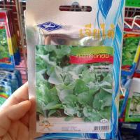 ราคา เมล็ดคะน้าเห็ดหอม เจียไต๋ จำนวน 500 เมล็ด (41967660896)