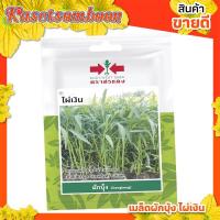 ราคา เมล็ดผักบุ้ง ผักบุ้ง ไผ่เงิน ( 10 แถม 1 ) เมล็ดผักซอง ศรแดง บรรจุ 300 เมล็ด/ซอง ขนาด 10 บาท ตรา ศรแดง (9248948238)
