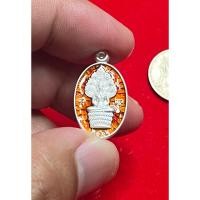 ราคา เหนียญนาคปรก เนื้อเงิน ยาแดง รุ่นบารมีหลวงพ่อรวย วัดตะโก ปี2566 เลขโค้ด 662 (23278575971)