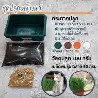 ราคา หญ้าแมว ชุดปลูกต้นอ่อนข้าวสาลี ครบชุดพร้อมปลูก กระถางใช้ซ้ำได้ เมล็ดหญ้าแมว ออแกนิค ต้นอ่อนข้าวสาลี (2757889693)