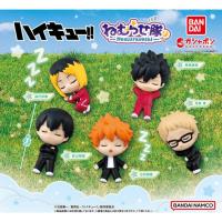 ราคา **ของแท้ พร้อมส่ง** กาชาปอง ไฮคิว ชุด หลับยกแก๊ง Gashapon Haikyu!! Nemurasetai Sleeping Squad (40000929655)