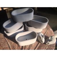 ราคา กระถางปูนเปลือย ปลูกแคคตัส ทรงวงรี (4814840132)