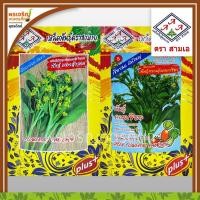 ราคา เมล็ดพันธุ์ กลุ่มผักกาดกวางตุ้ง คะน้า 3A (แบบซอง) เมล็ดกวางตุ้งดอกฮ่องกง กวางตุ้งฮ่องเต้ คะน้ายอด คะน้าฮ่องกง ตราสามเอ (10656408092)